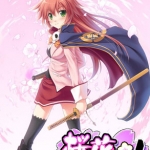 樱花战国携带版 日版游戏下载