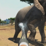 《动物乐园(Zoo Tycoon)》英文版 下载