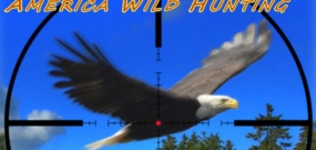 America Wild Hunting