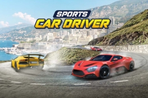 跑车司机 Sports Car Driver