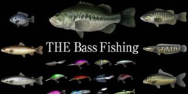 【美版】路亚钓鲈 THE Bass Fishing