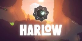 【美版】Harlow